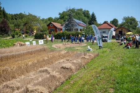Dobrovnik - 2000 semen - ZETEV 2025-1184912